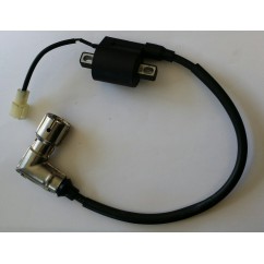 Bobine allumage Longjia LJ50QT-2L 2 temps