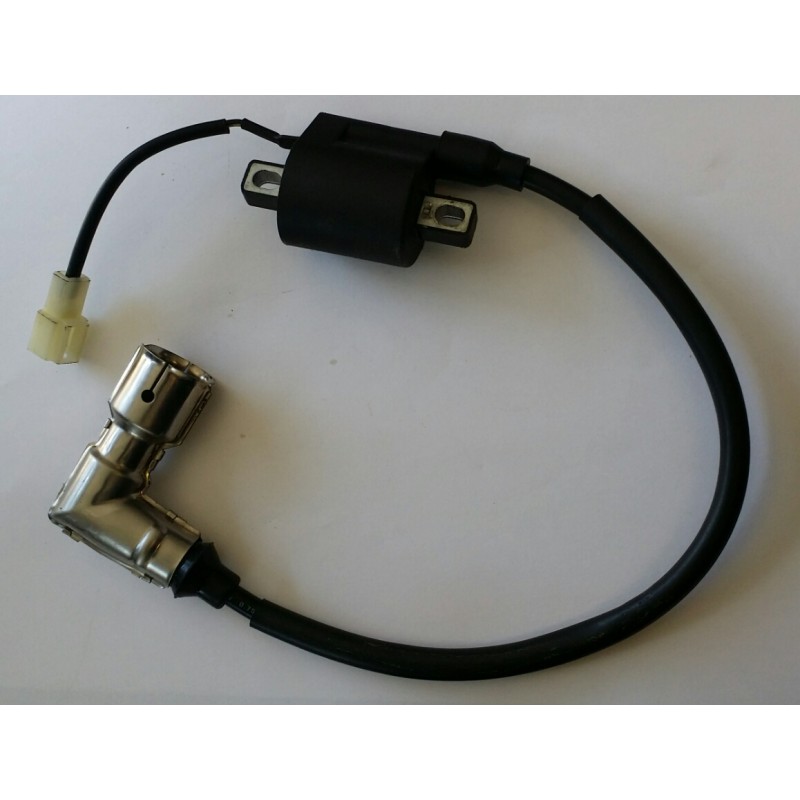 Bobine allumage Longjia LJ50QT-2L 2 temps