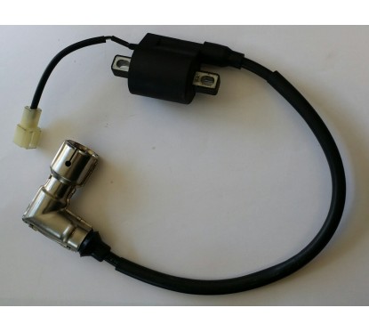 Bobine allumage Longjia LJ50QT-2L 2 temps