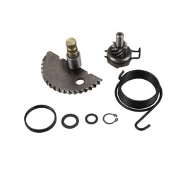 Système de kick pour scooter LJ50QT-3L