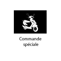 Option porte bagage à la place d'une barre de maintien pour MAX-T 50C