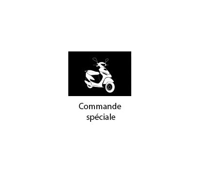 Commande spéciale carte grise + plaque 125cc